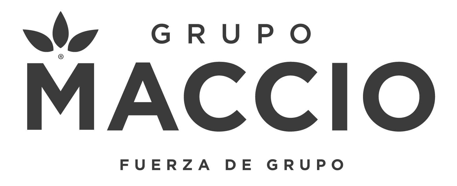 Logo Grupo Maccio Horizontal